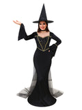 Women's Golden Witch Costume, Shiny Long Dress with Sheer Sleeves for Halloween or Cosplay