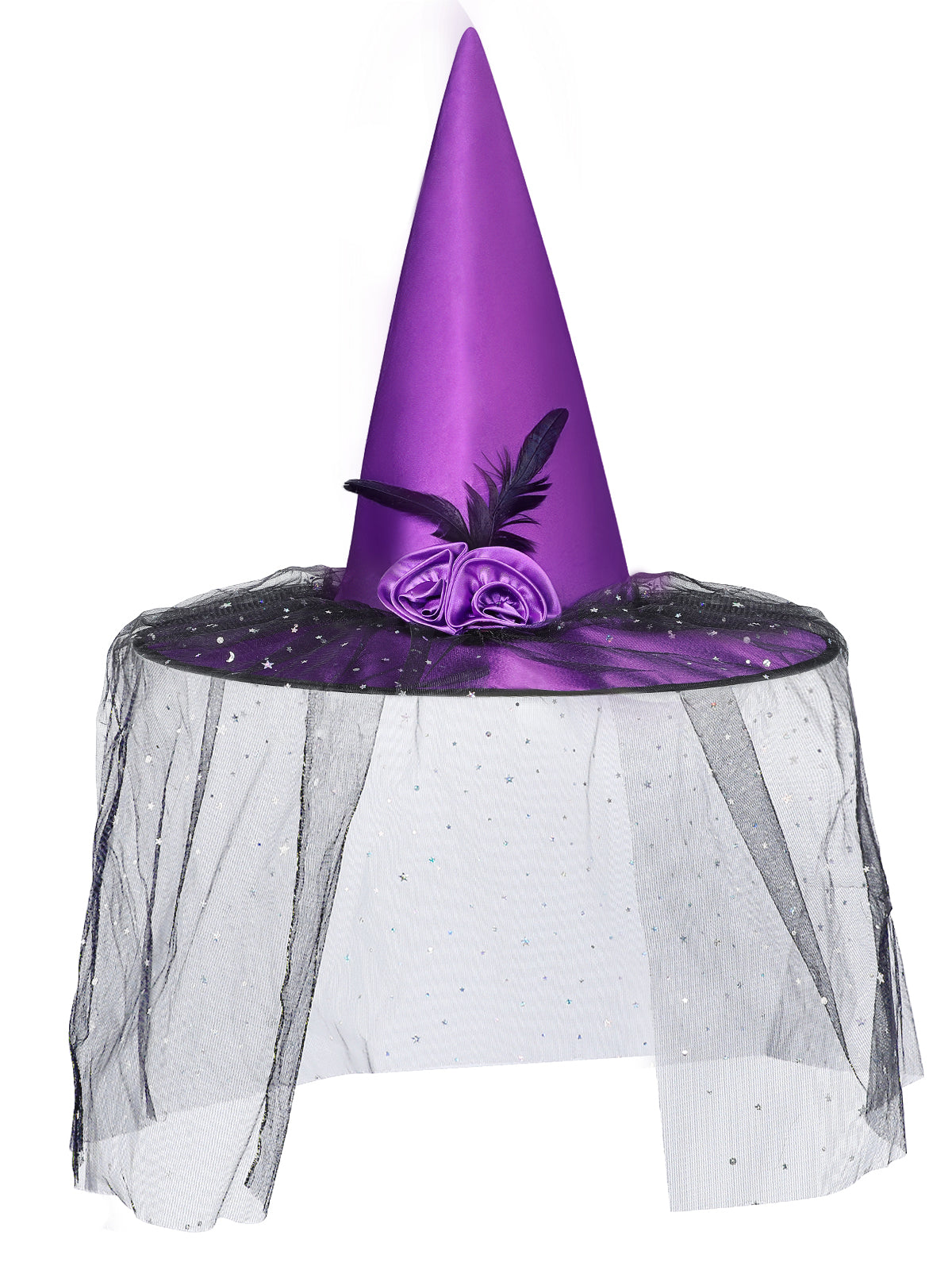 Witch Hat with Veil for Holloween Costume