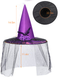 Witch Hat with Veil for Holloween Costume